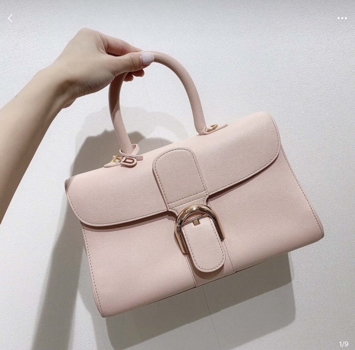 Delvaux Brilliant Crossbody Bag Sakura Pink Gold Hardware Authentic - Image 8