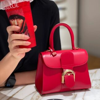 Delvaux Brillant Mini Red Grain Calfskin Gold Hardware Crossbody Bag Authentic