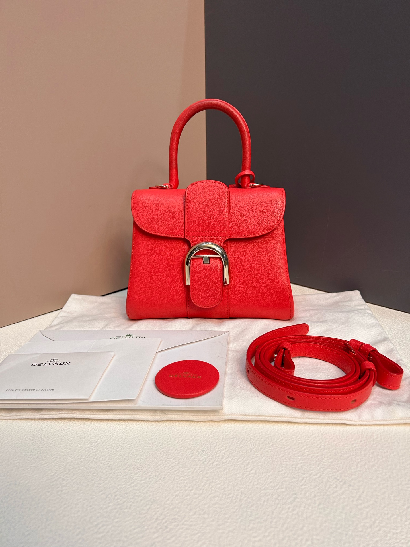 Delvaux Brillant Mini Red Grain Calfskin Gold Hardware Crossbody Bag Authentic - Image 8