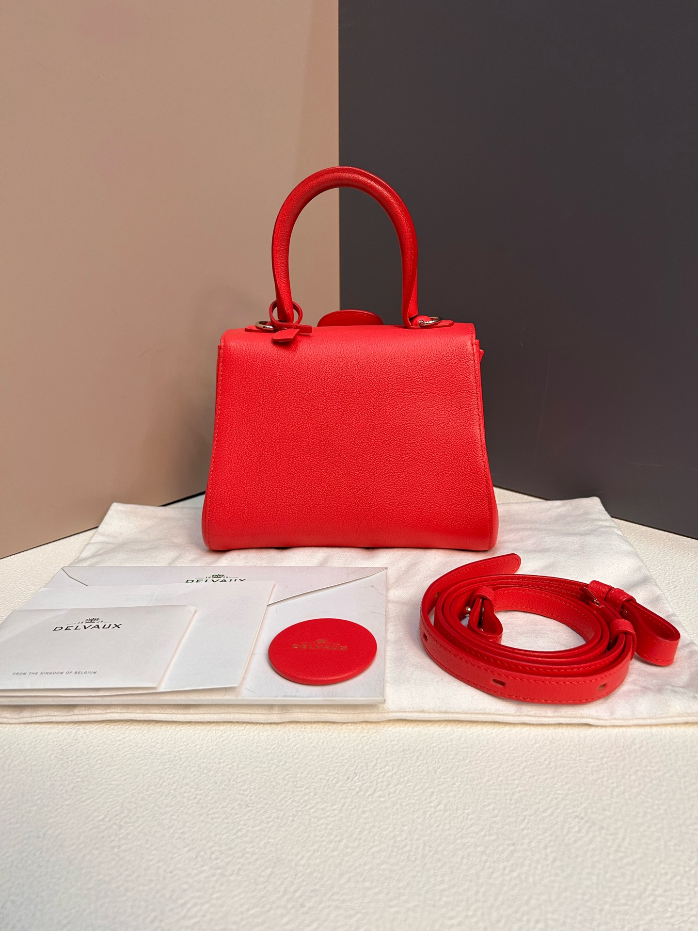 Delvaux Brillant Mini Red Grain Calfskin Gold Hardware Crossbody Bag Authentic - Image 9