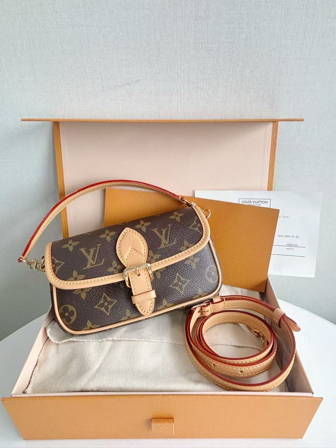 LV Nano Diane Mini Hobo Bag 18x6x12cm Authentic