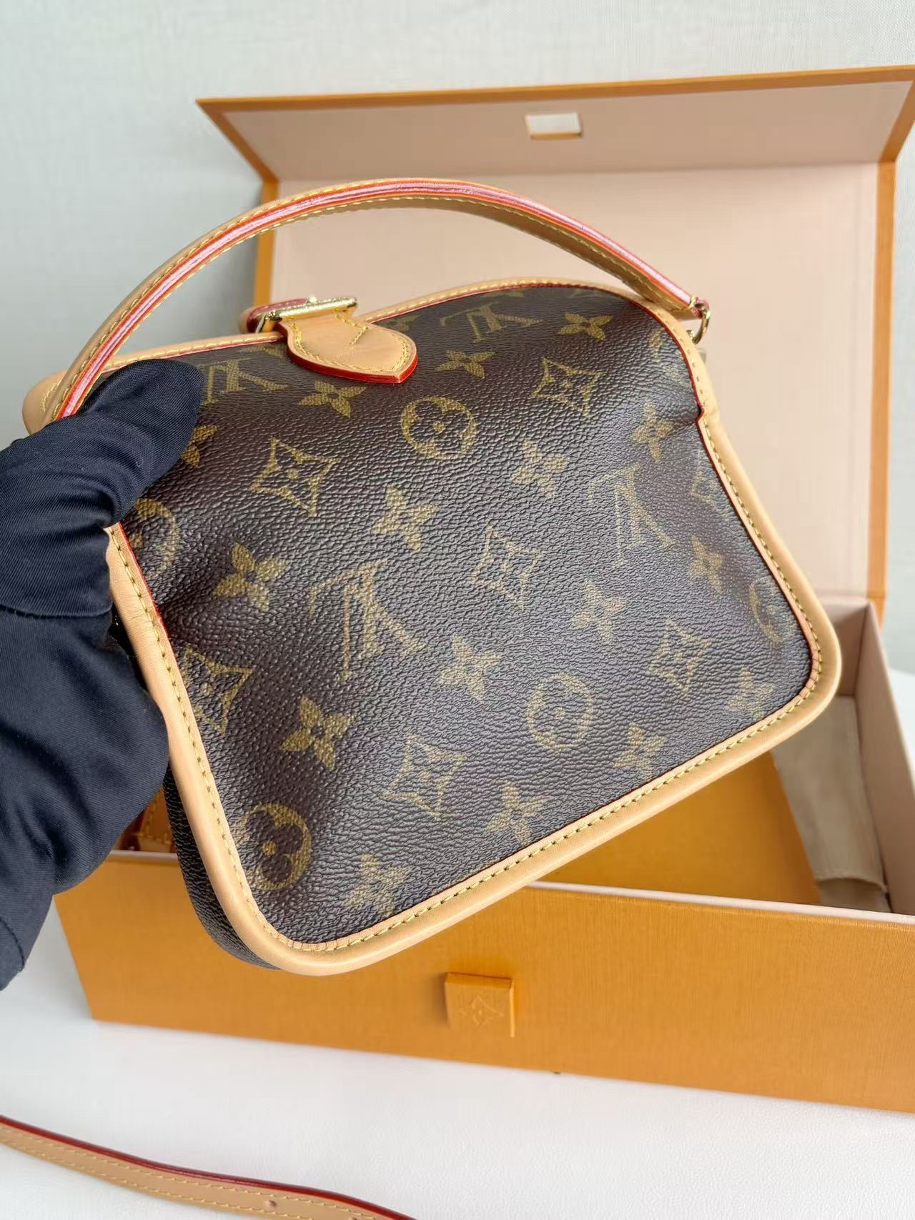 LV Nano Diane Mini Hobo Bag 18x6x12cm Authentic - Image 5