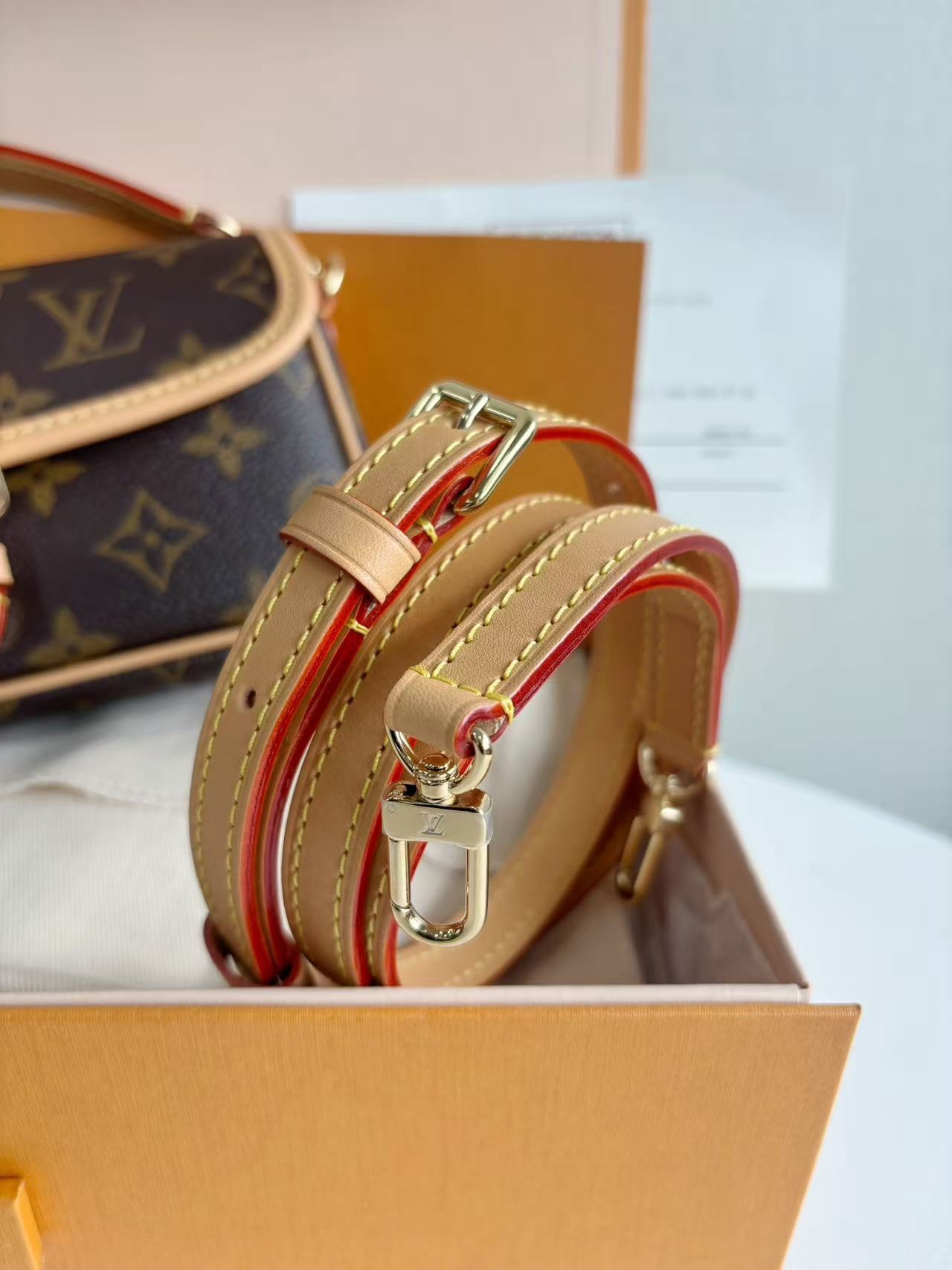 LV Nano Diane Mini Hobo Bag 18x6x12cm Authentic - Image 6