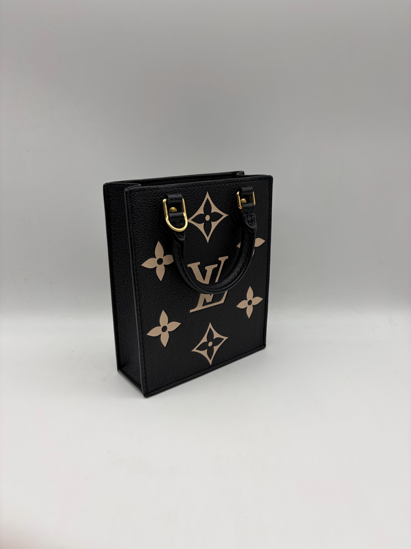 LV Nano Tote Black Leather Piano Score Mini Authentic - Image 3
