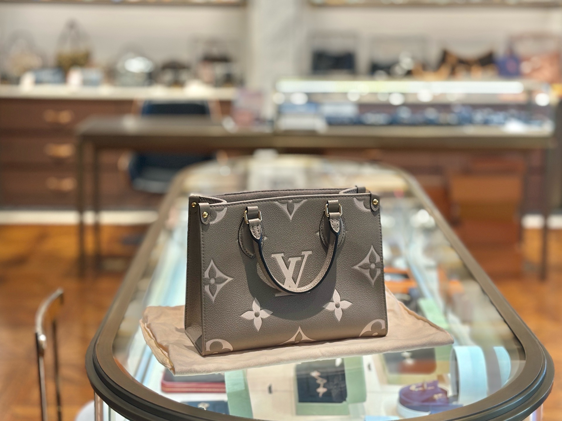 LV Onthego PM Elephant Grey Leather Tote M45779 Authentic - Image 2