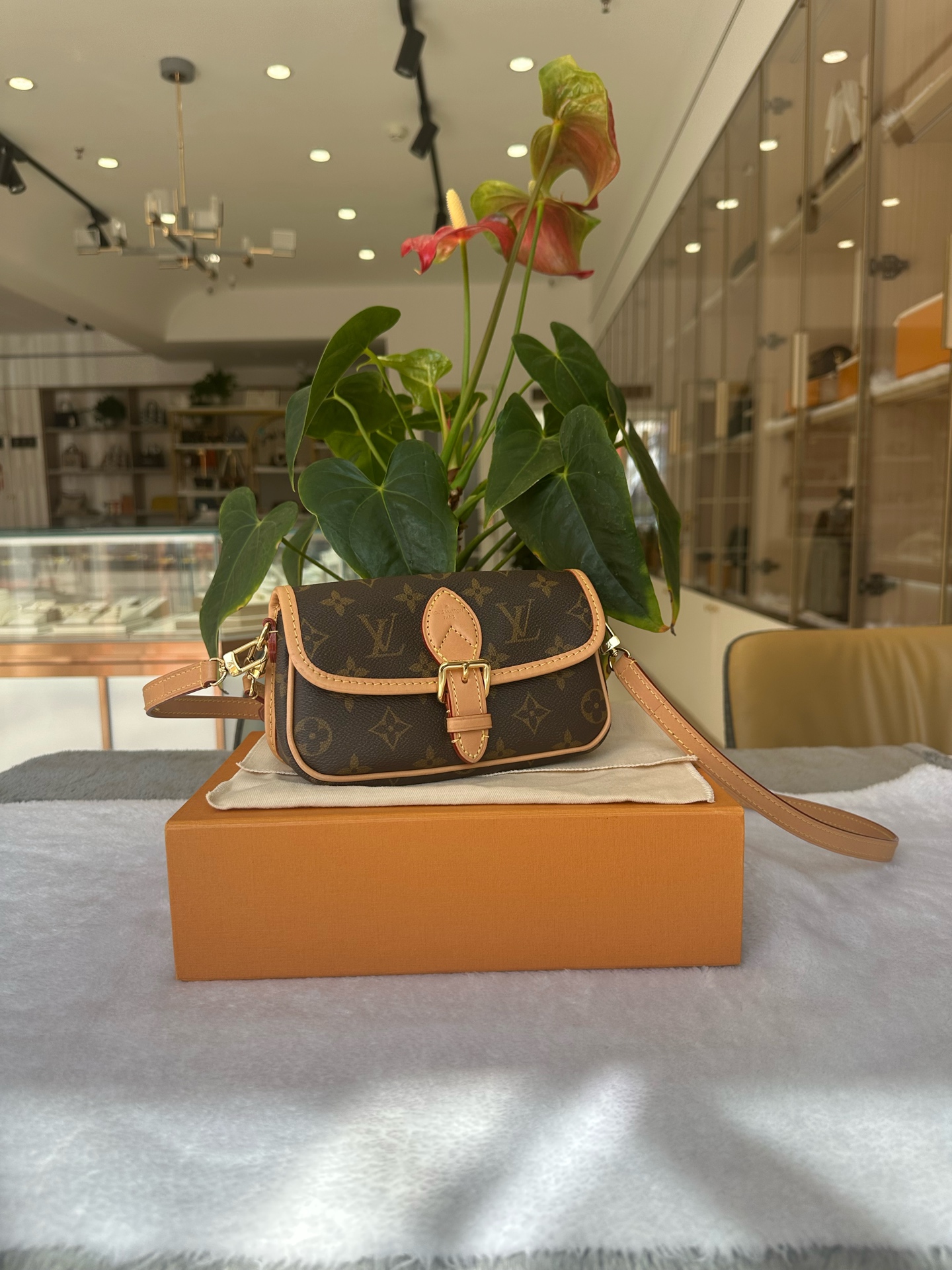 LV Louis Vuitton Nano Diane Monogram Mini Bag M83298 Authentic - Image 3
