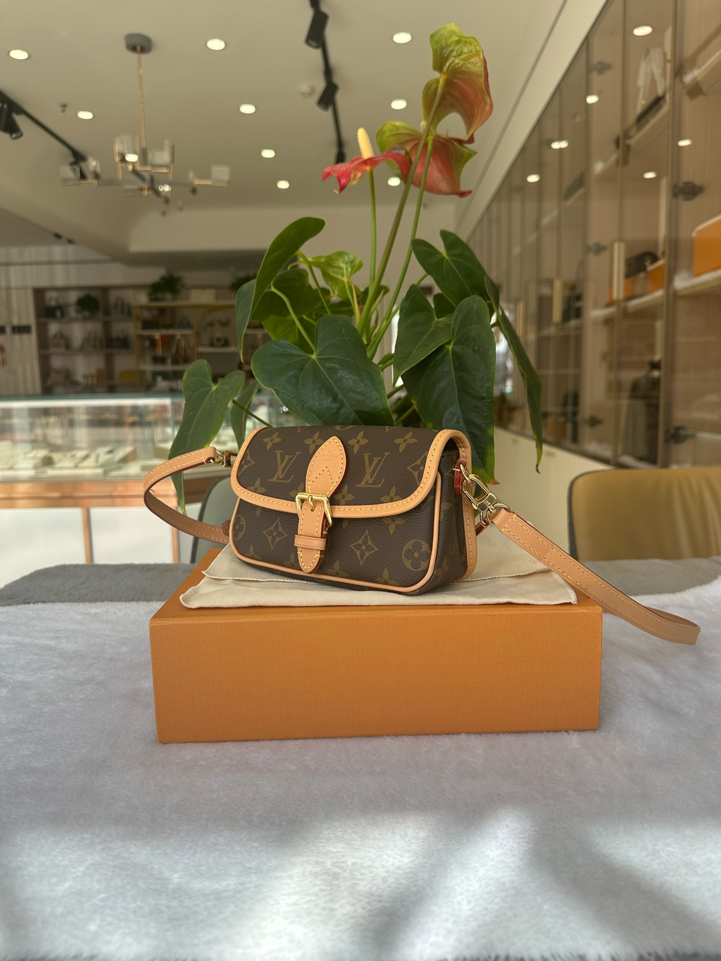 LV Louis Vuitton Nano Diane Monogram Mini Bag M83298 Authentic - Image 4