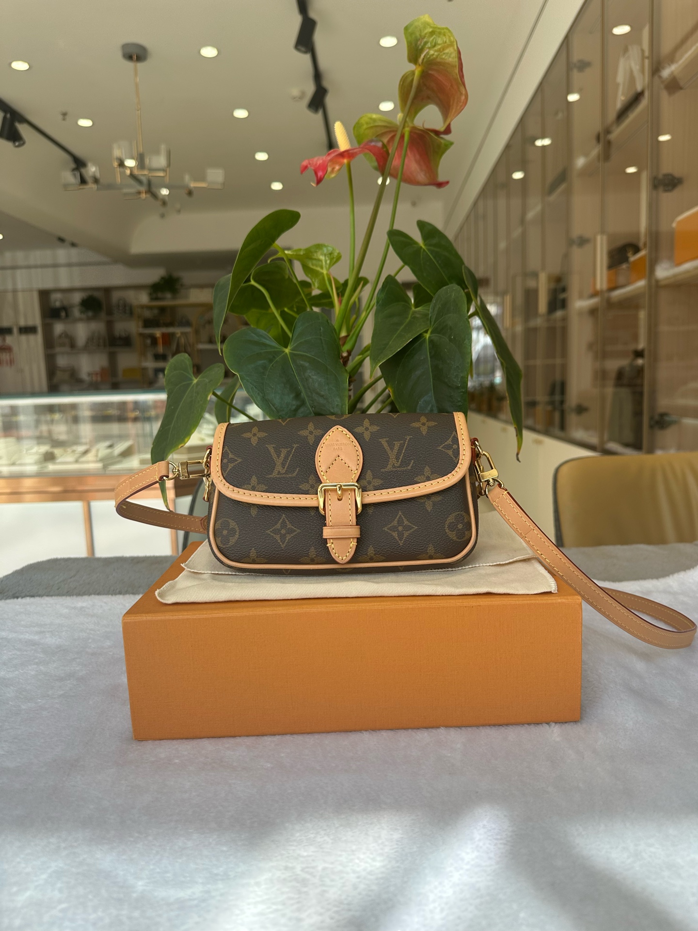 LV Louis Vuitton Nano Diane Monogram Mini Bag M83298 Authentic - Image 5