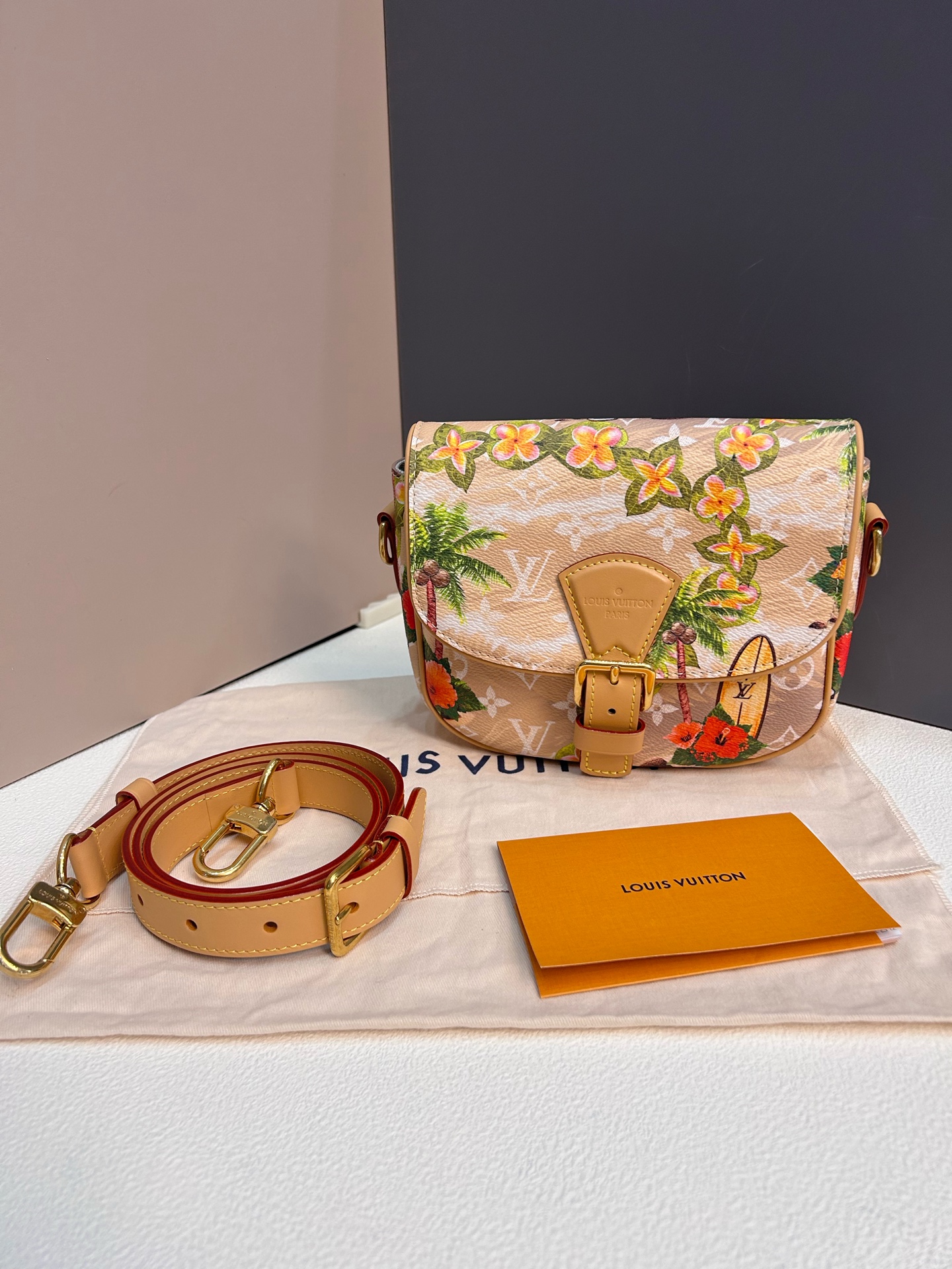 LV Montsouris Messenger PM Coated Canvas Crossbody Authentic - Image 4