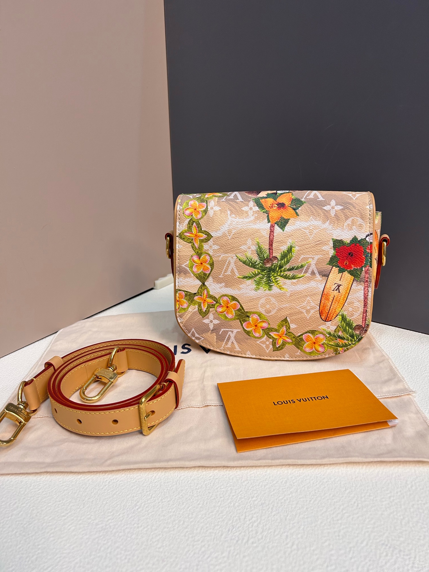 LV Montsouris Messenger PM Coated Canvas Crossbody Authentic - Image 5